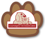 Cliniques vétérinaires DeLorimier Logo